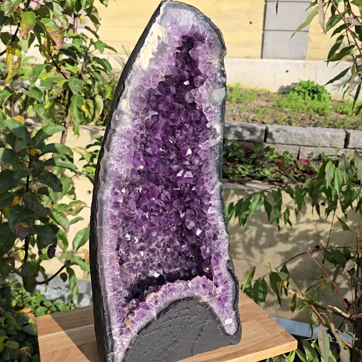 Amethyst Druse kaufen bei Steinwelten 