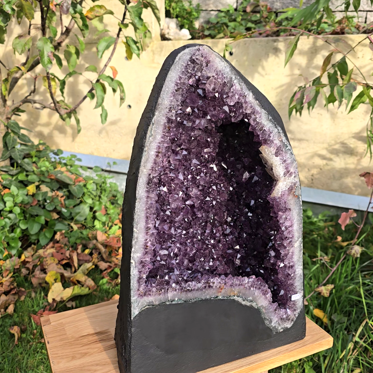 Amethyst Brasilien 