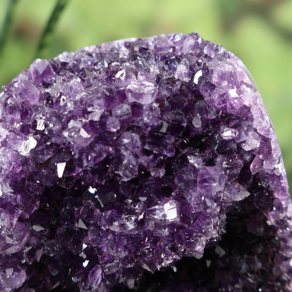 Close-up of a vibrant dark purple Uruguay Amethyst Druse showcasing its naturally regular crystal formations.