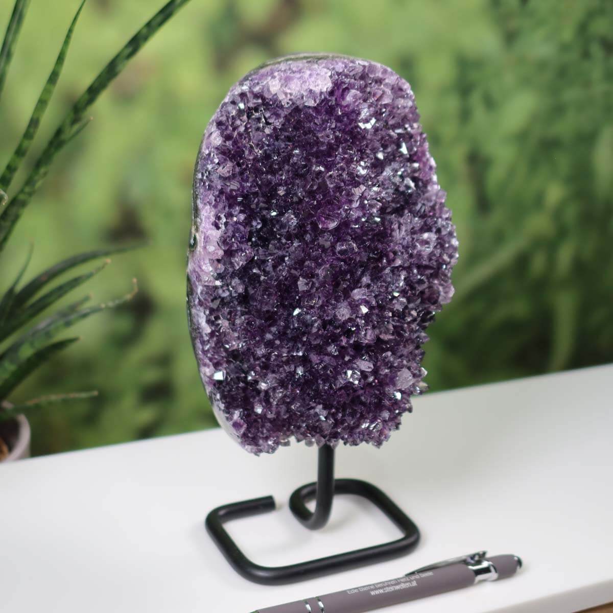 Deep purple Uruguay Amethyst Druse on metal stand displayed on a table with green plants in the background