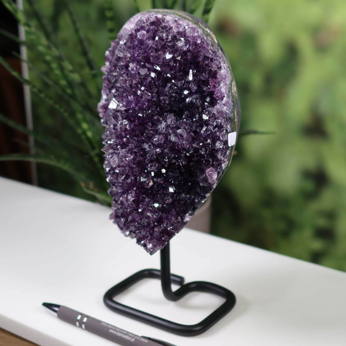 Amethyst Drusen Geoden from Uruguay on display stand, showcasing intense dark purple crystals positioned against natural backdrop.