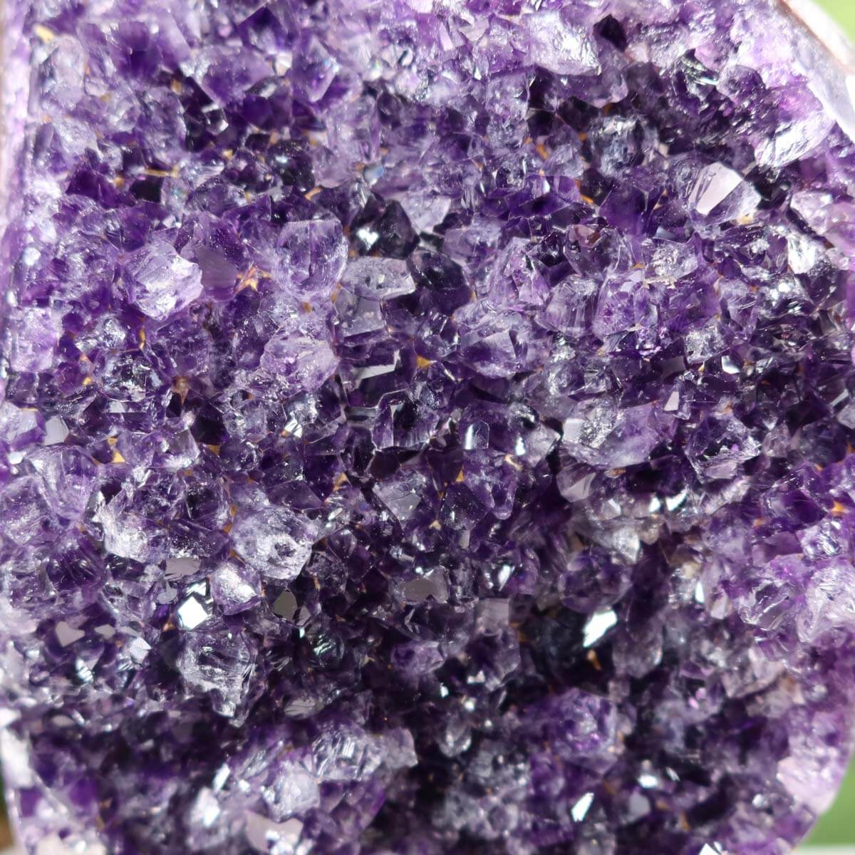 Dark purple Uruguay Amethyst Druse on metal stand displayed on desk with pen and plant in background