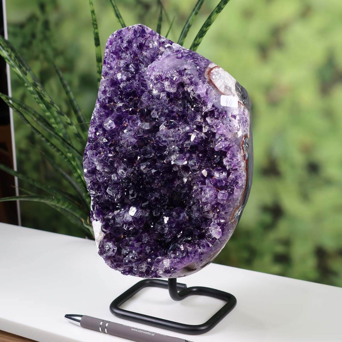 Dark purple Uruguay Amethyst Geode on metal stand displayed near window with lush greenery behind