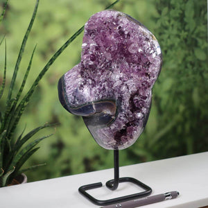 Dark purple Uruguay Amethyst druse on metal stand displayed on table with green foliage background.