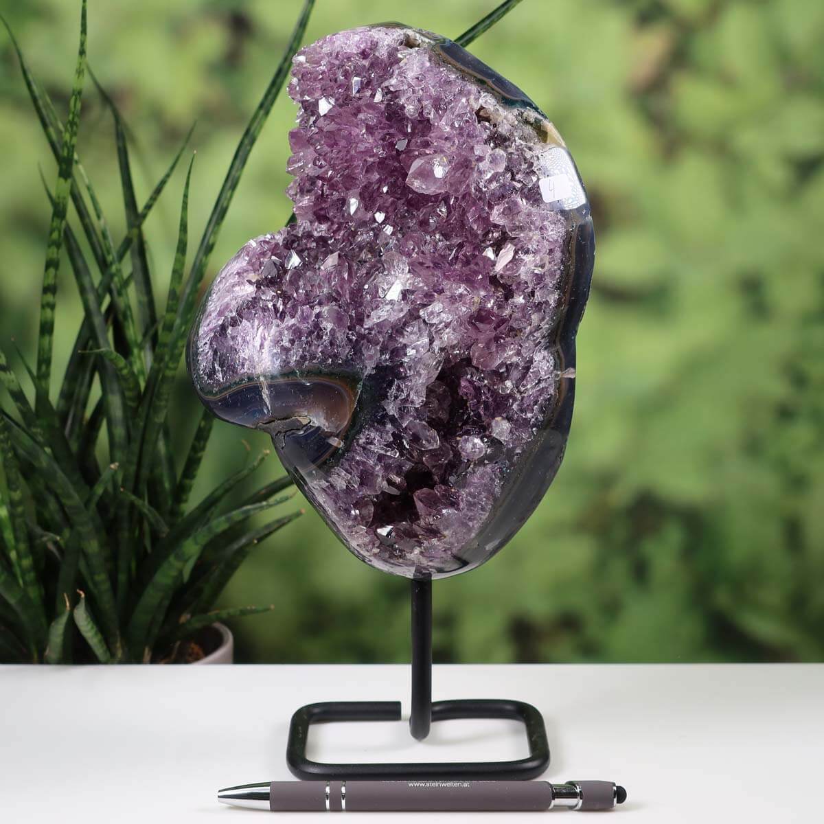 Dark purple Uruguay amethyst druse geode displayed on black metal stand with pen for size reference on white table against greenery background