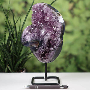 Dark purple Uruguay amethyst druse geode displayed on black metal stand with pen for size reference on white table against greenery background