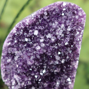 Close-up of an Amethyst Druse from Uruguay, showcasing its deep purple crystals and sparkling surface.