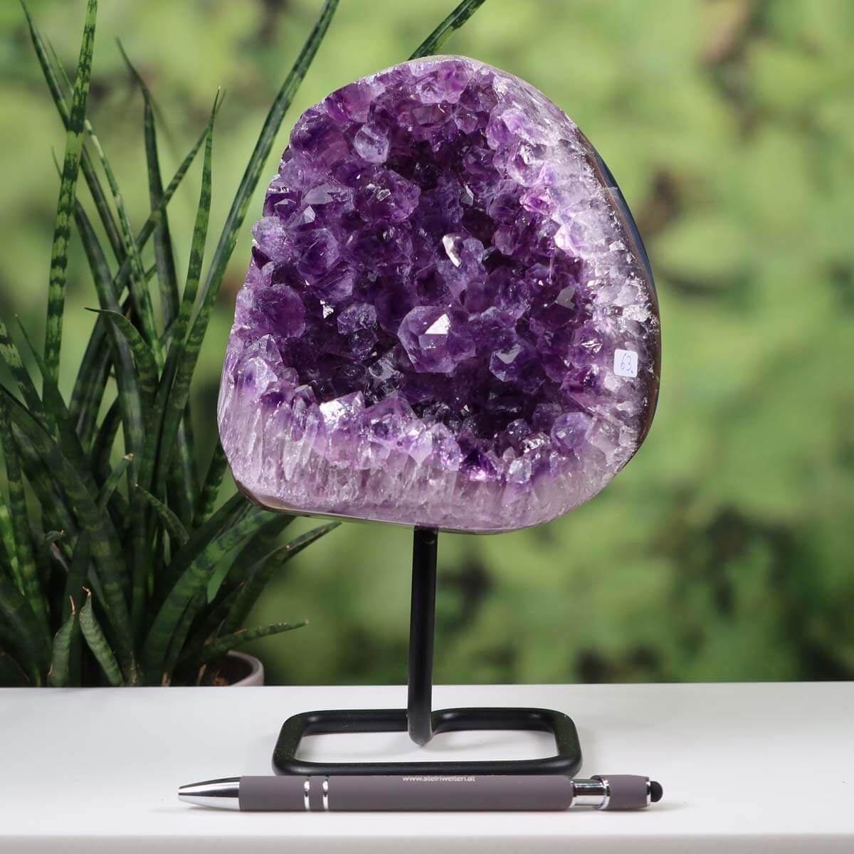 Deep purple Uruguay Amethyst geode on metal stand displayed on table with green plant background