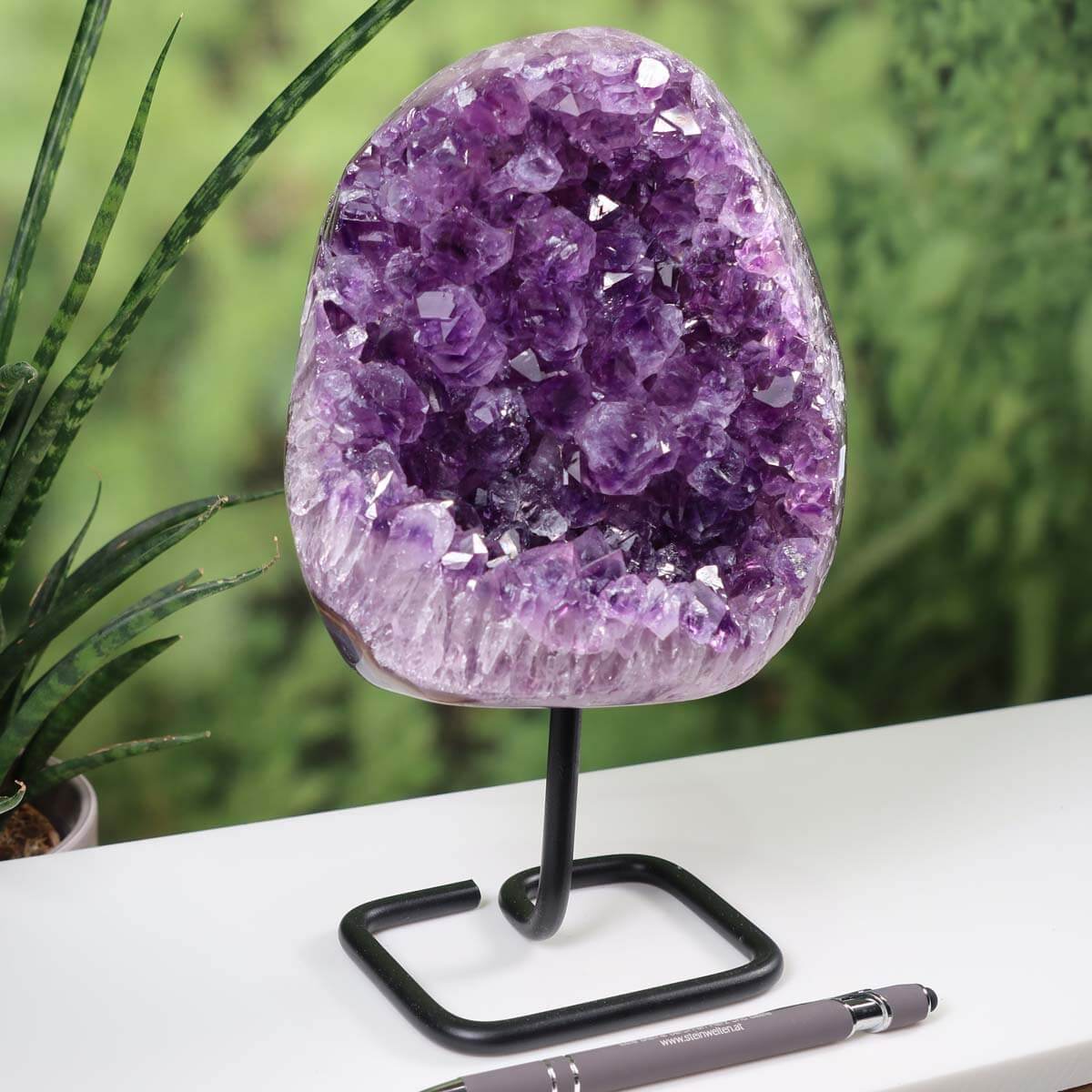 Deep purple Uruguay Amethyst geode on metal stand displayed on table with green plant background