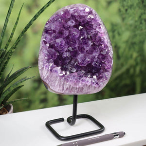 Deep purple Uruguay Amethyst Drusen Geode on metal stand displayed on a white table with green plants in background