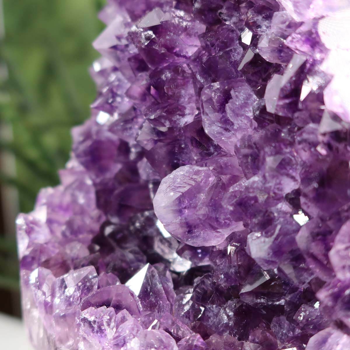 Close-up of a vibrant Uruguay Amethyst Druse with deep purple crystals and natural sparkle, displayed on blurred green background.