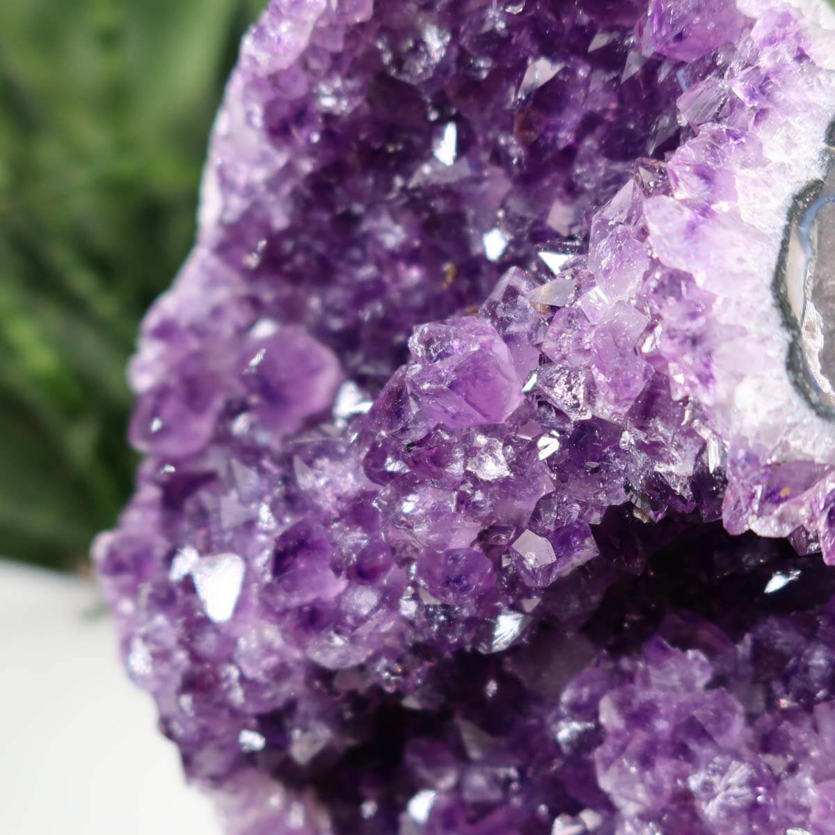 Close-up view of an intense dark purple Uruguay Amethyst Druse with naturally regular crystals, highlighting its sparkle and deep color