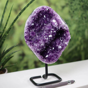 Dark purple Uruguay Amethyst Druse on metal stand displayed on a white table with green plants in the background