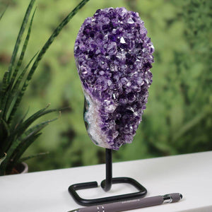 Dark purple Uruguay Amethyst Druse on metal stand displayed on a white surface, pen for scale, with green foliage background.