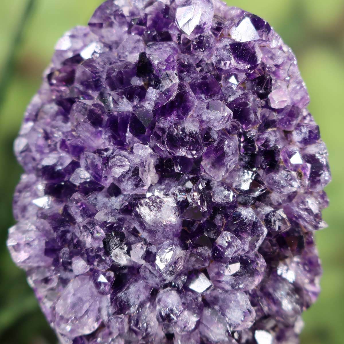 Close-up of a dark purple Uruguay Amethyst Drusen Geode with natural sparkling crystals and intense color, displayed outdoors