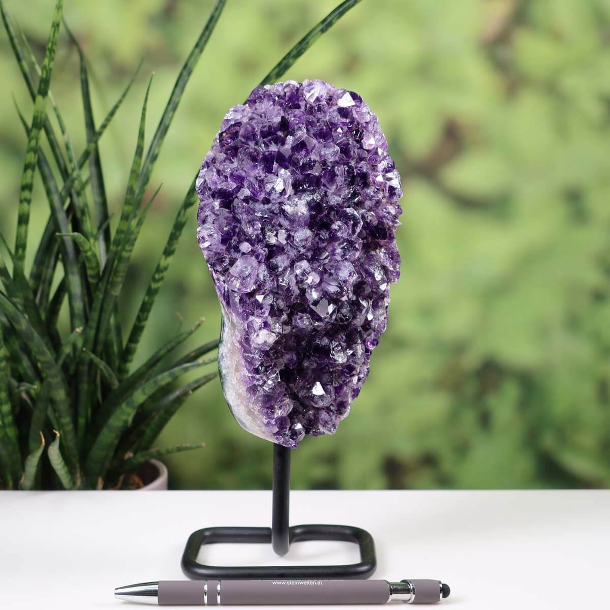 Deep purple Uruguay Amethyst geode on metal stand, displayed on a table with a potted plant in the background