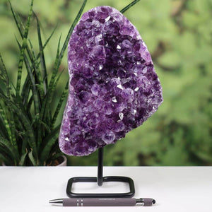 Deep purple Uruguay Amethyst Drusen Geode on metal stand, showcased on a table with a pen for scale and greenery in the background