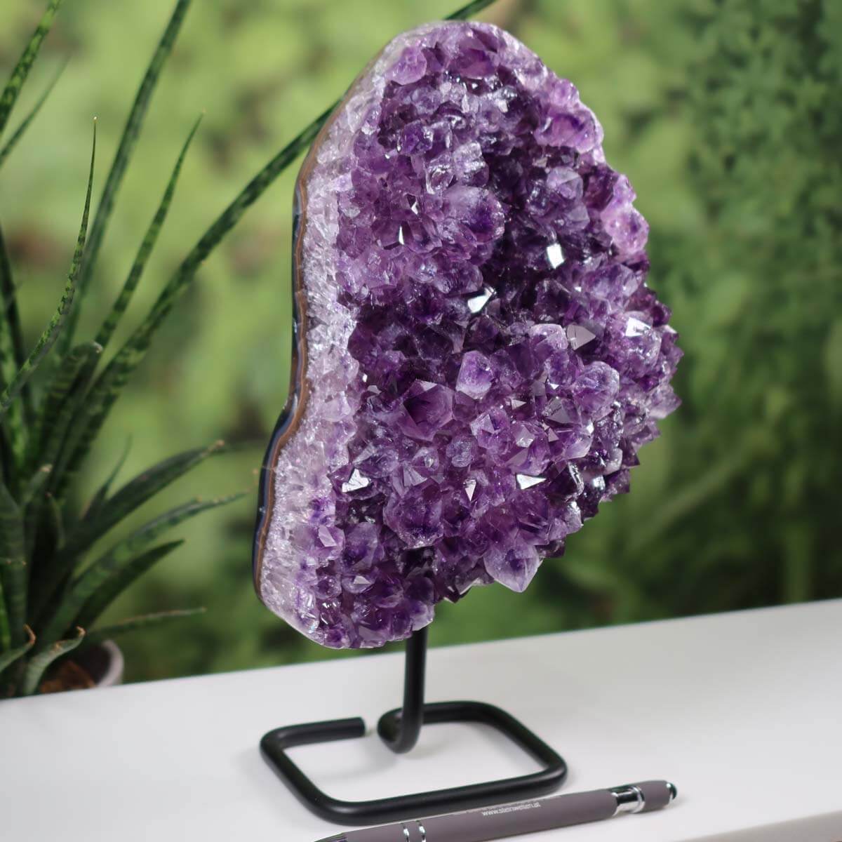 Deep purple Uruguay Amethyst Drusen Geode on metal stand, showcased on a table with a pen for scale and greenery in the background