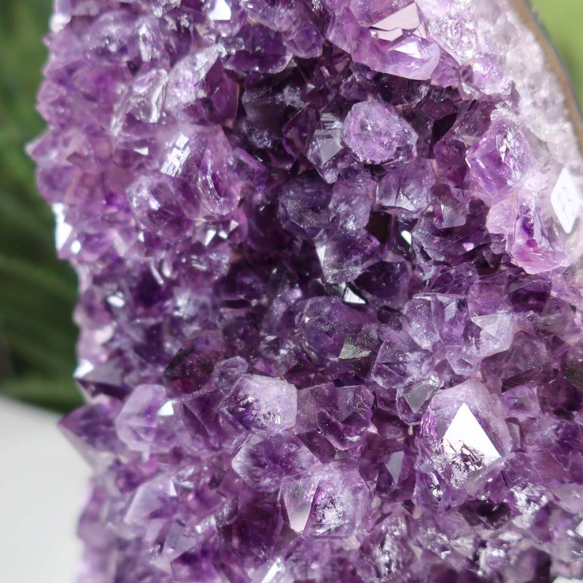 Close-up of Uruguay Amethyst Druse showcasing intense dark purple crystals with natural sparkle