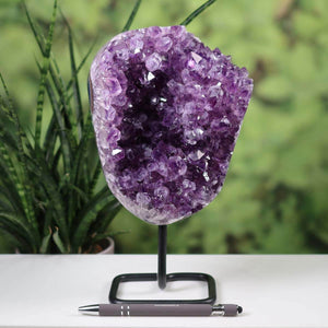 Dark purple Uruguay amethyst geode on metal stand displayed on a table, with plants in the background.