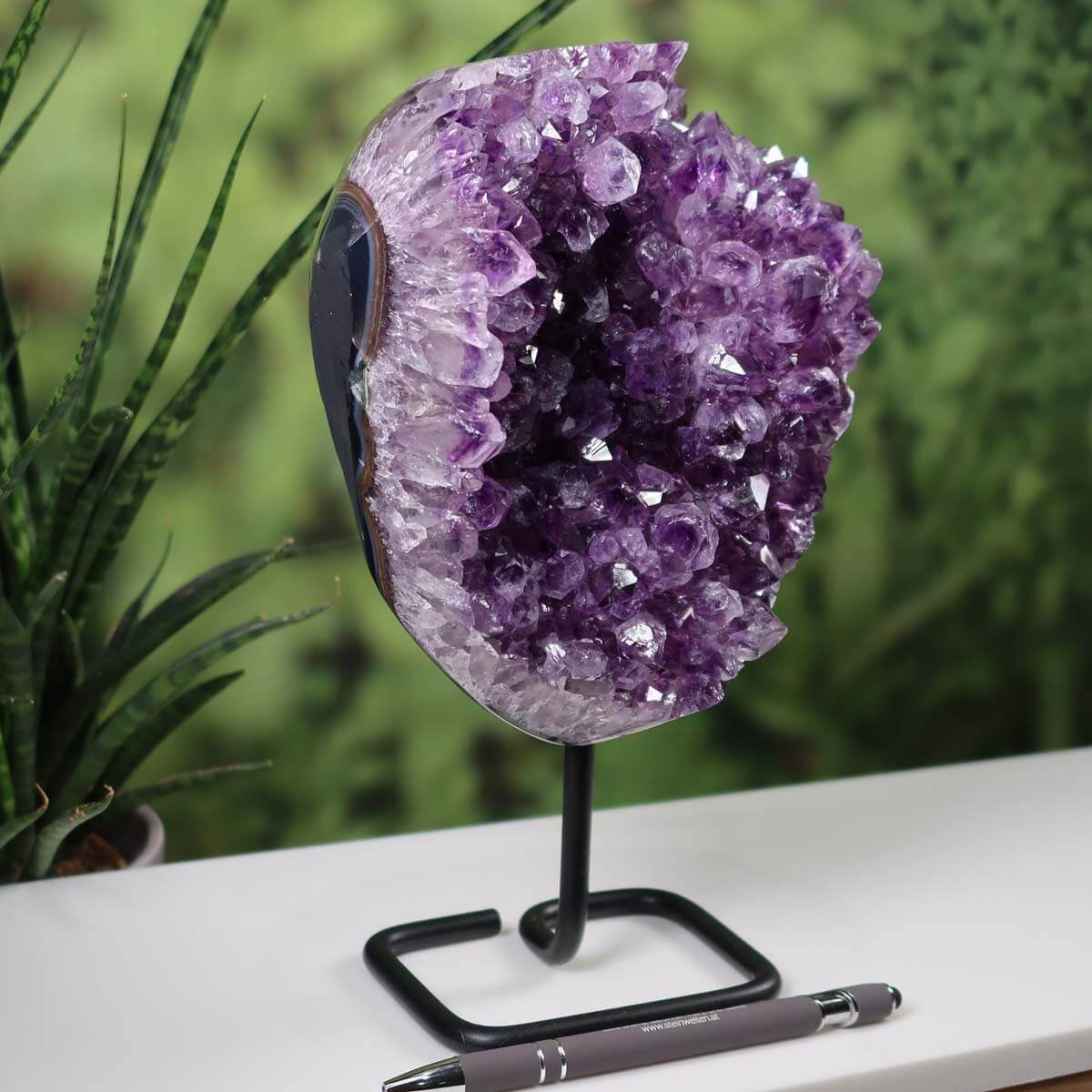 Dark purple Uruguay amethyst geode on metal stand displayed on a table, with plants in the background.