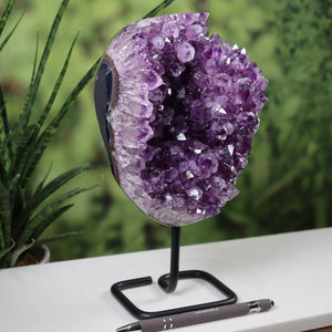 Uruguay Amethyst Drusen Geode on black metal stand with vibrant deep purple crystals, displayed on a table with a green plant background.