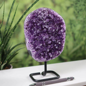 Deep purple Uruguay amethyst geode on black metal stand displayed on white surface, with green plants in background.