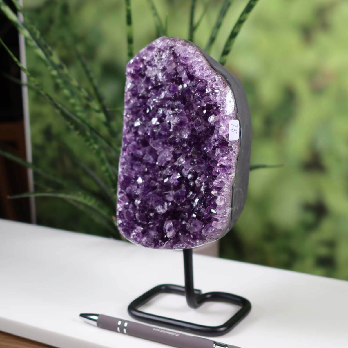 Deep purple Uruguay amethyst geode on black metal stand displayed on white surface, with green plants in background.