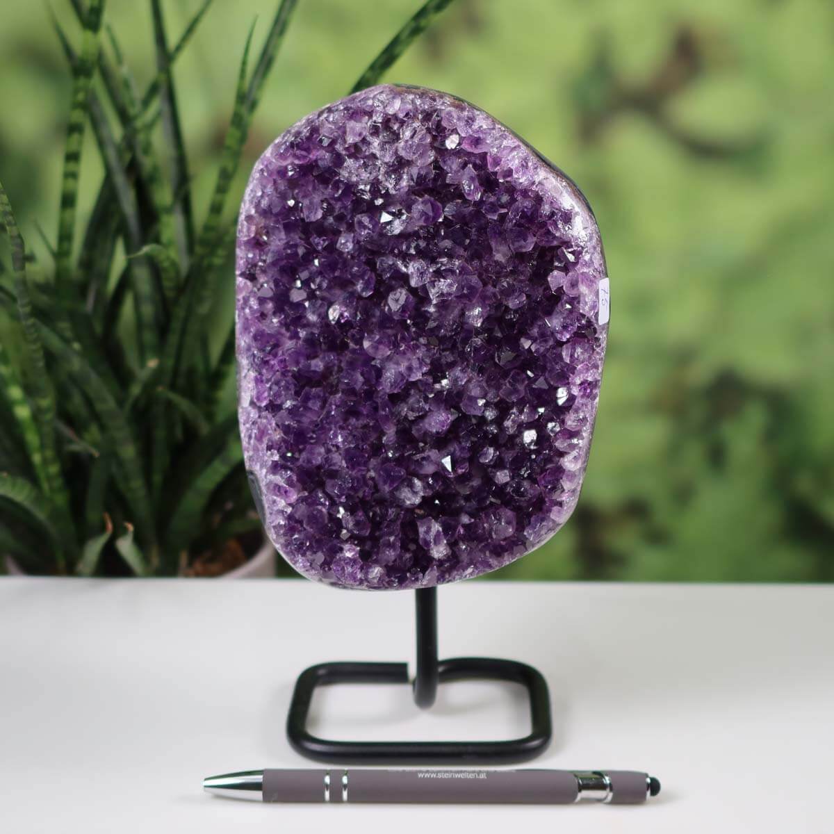 Dark purple Amethyst Drusen Geode from Uruguay on a black metal stand, displayed with a pen for scale, enhancing home decor.