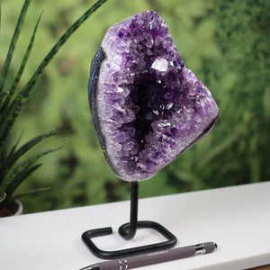 Dark purple Uruguay Amethyst Druse on metal stand, displayed on a white table with green plant background