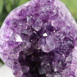 Close-up of vivid purple Uruguay Amethyst Drusen crystals with natural deep color and high sparkle