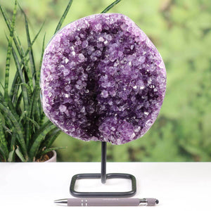 Sparkling dark purple Amethyst Drusen Geode from Uruguay on a metal stand, showcased on a white table with a green plant background.