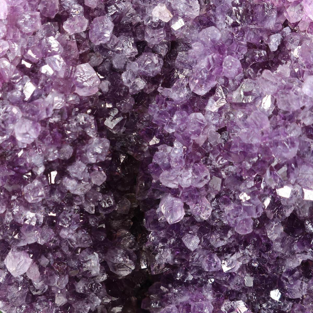 Close-up view of an Uruguay Amethyst Drusen displaying deep purple crystals with natural, intense sparkle