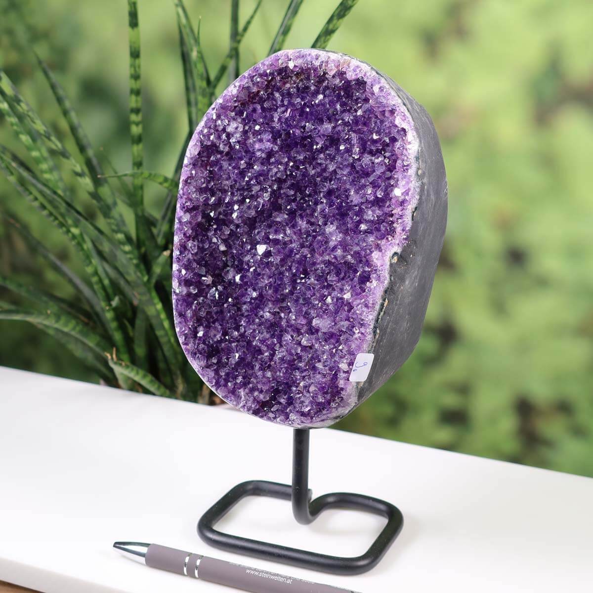 Dark purple Uruguay Amethyst Druse on metal stand displayed on a white table, showcasing natural, regular crystals enhancing its intense sparkle.