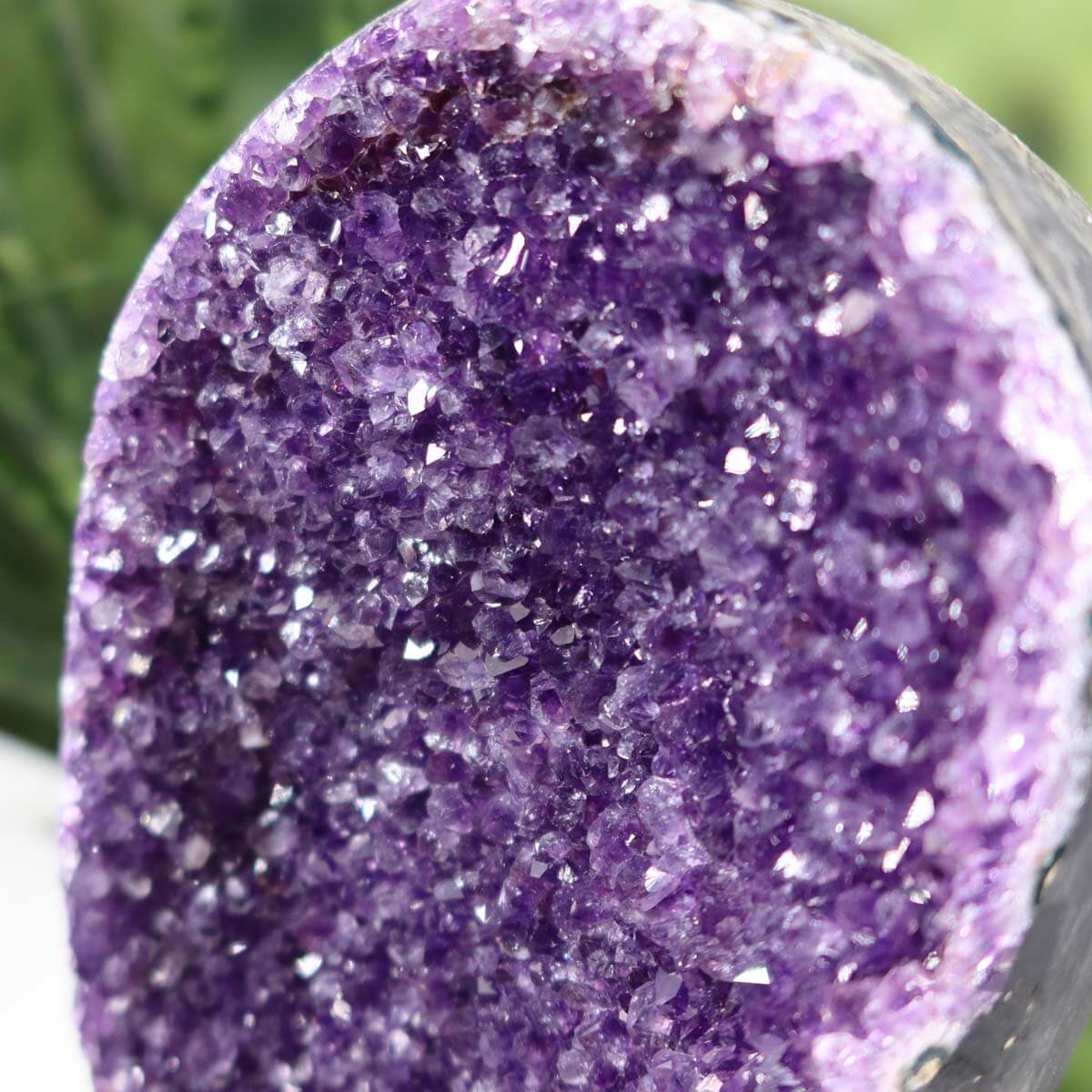 Close-up of an Amethyst Druse Geode from Uruguay showcasing its vibrant deep purple crystals and natural sparkle.