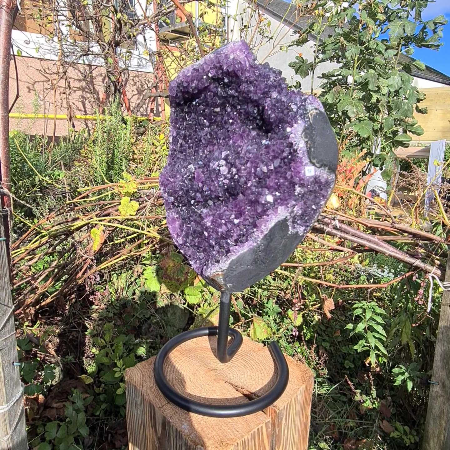 Amethyst Fachgeschäft Steinwelten in Graz