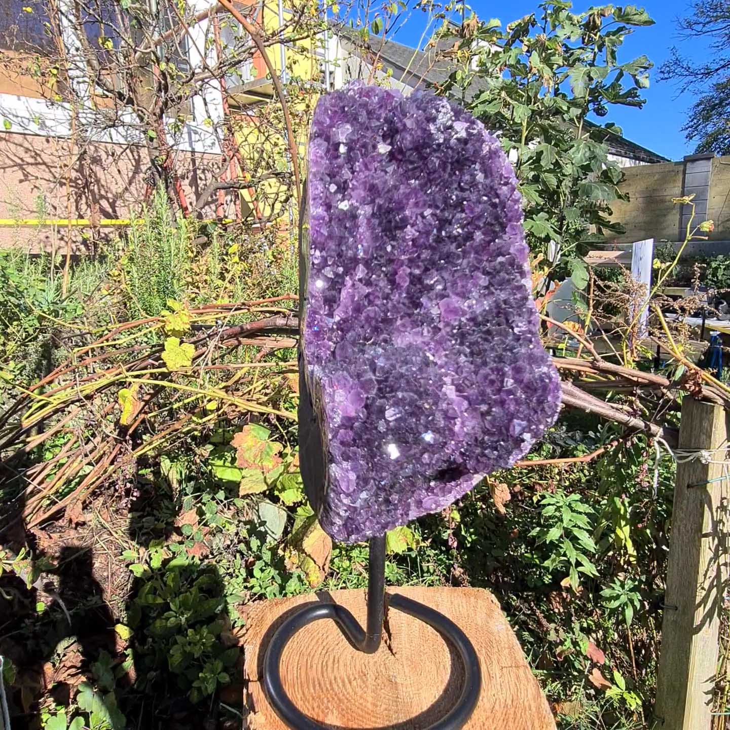 Amethyst auf Ständer kaufen