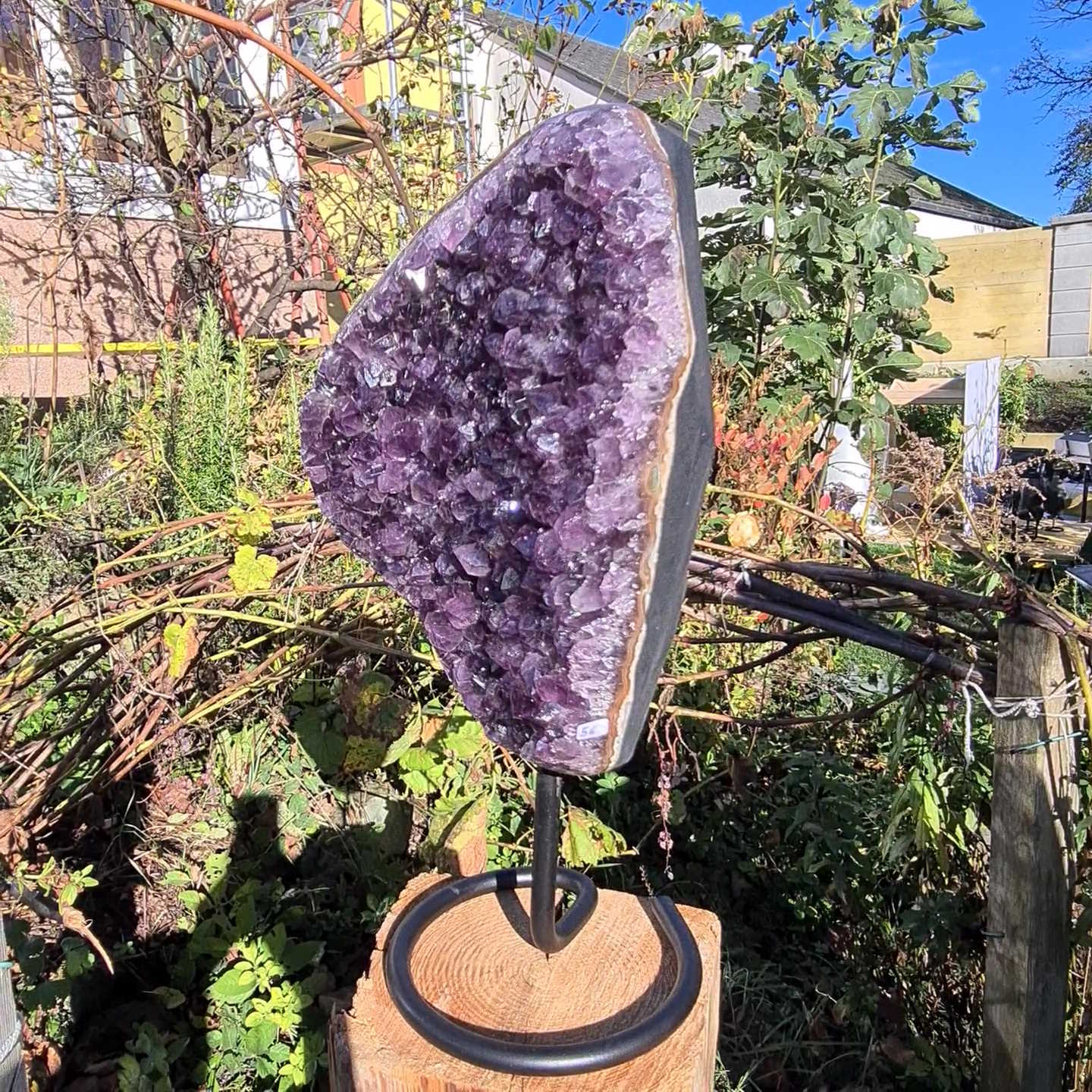 Amethyst von Steinwelten 