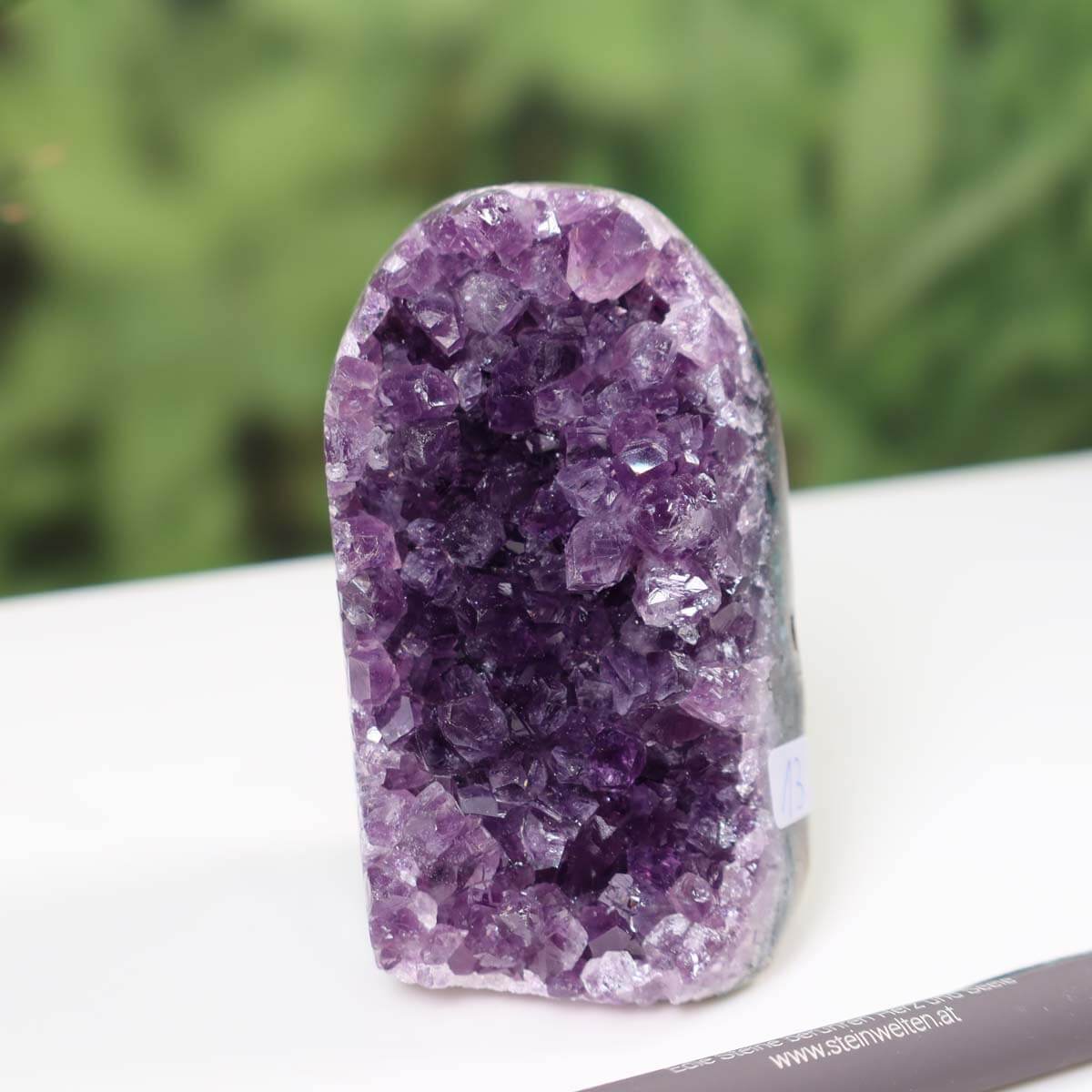 Intense purple Uruguay Amethyst mini geode marked as unique piece number 13 on a white table with green plant background.