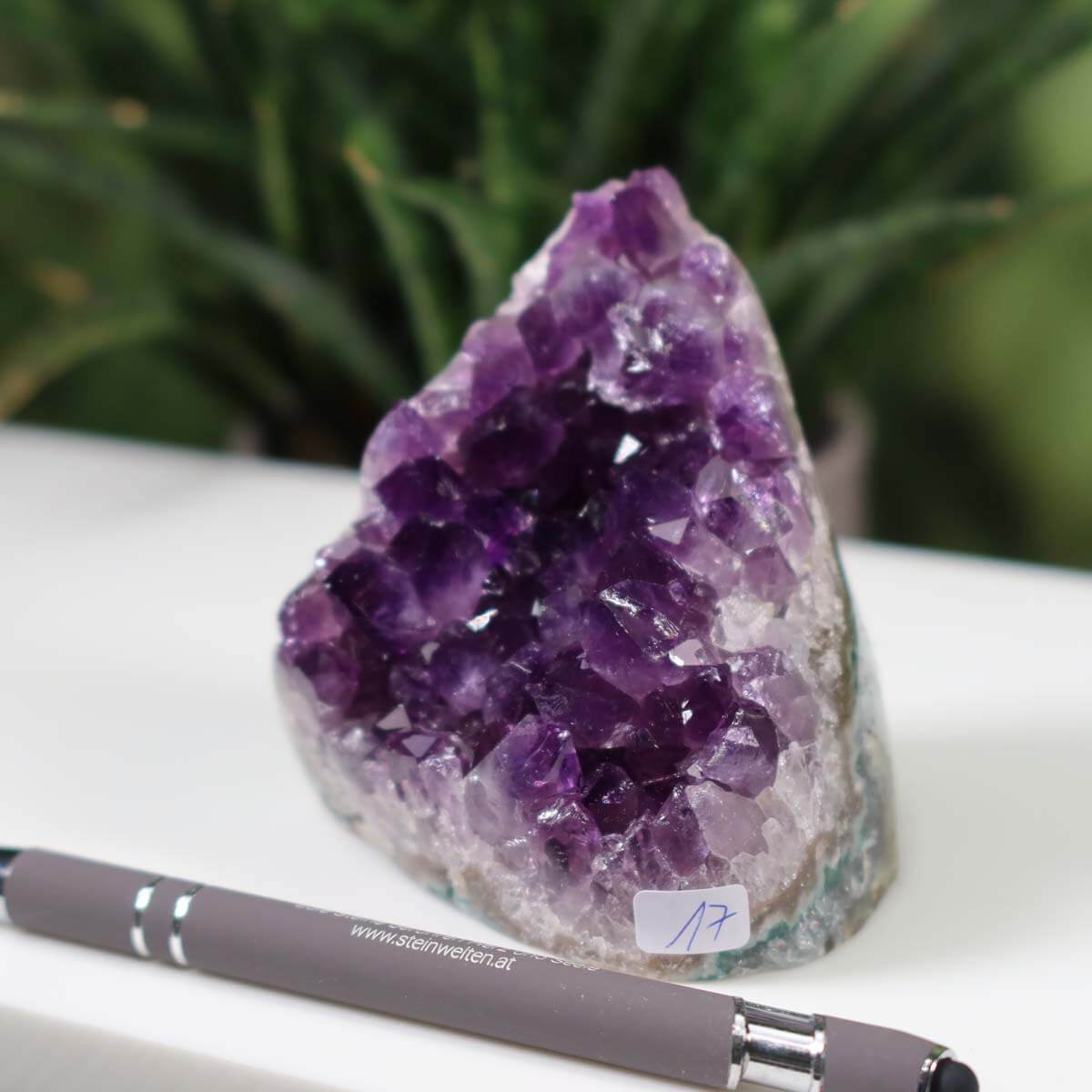 Intense purple Uruguay Amethyst mini geode displayed outdoors, showcasing its regular crystal formation and deep color.