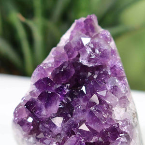 Close-up of a Uruguay Amethyst mini geode showing intense purple crystals, Unikat NR 17, against a blurred green background.