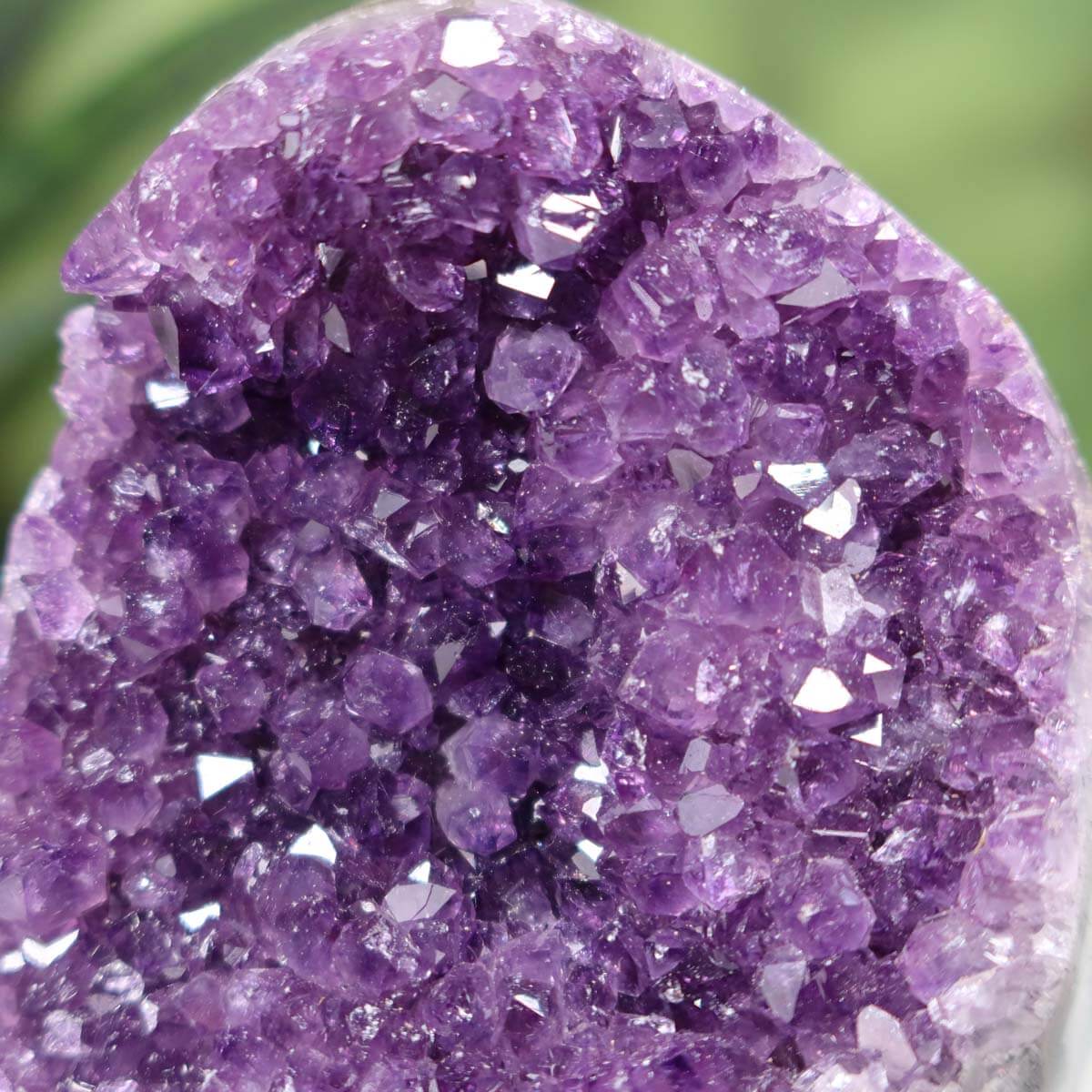 Close-up of a dark violet Uruguay Amethyst mini geode with intense crystal clarity, Unikat NR 20