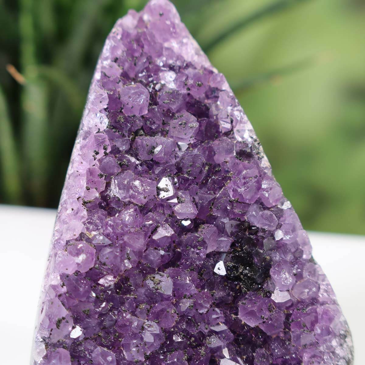 Close-up of Uruguay Amethyst Mini Geode with deep violet crystals, Unikat NR 21, showcasing intense color and natural sparkle.