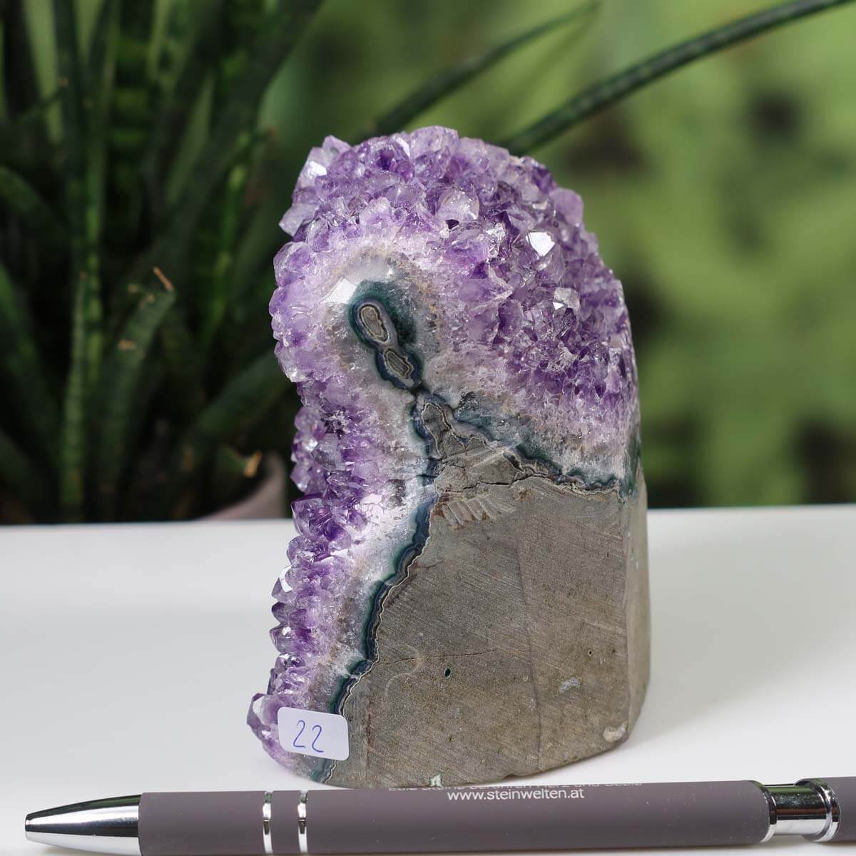 Intensely colored Uruguay Amethyst mini geode, unique piece number 22, displayed on a white surface with a pen for scale and a plant in the background.