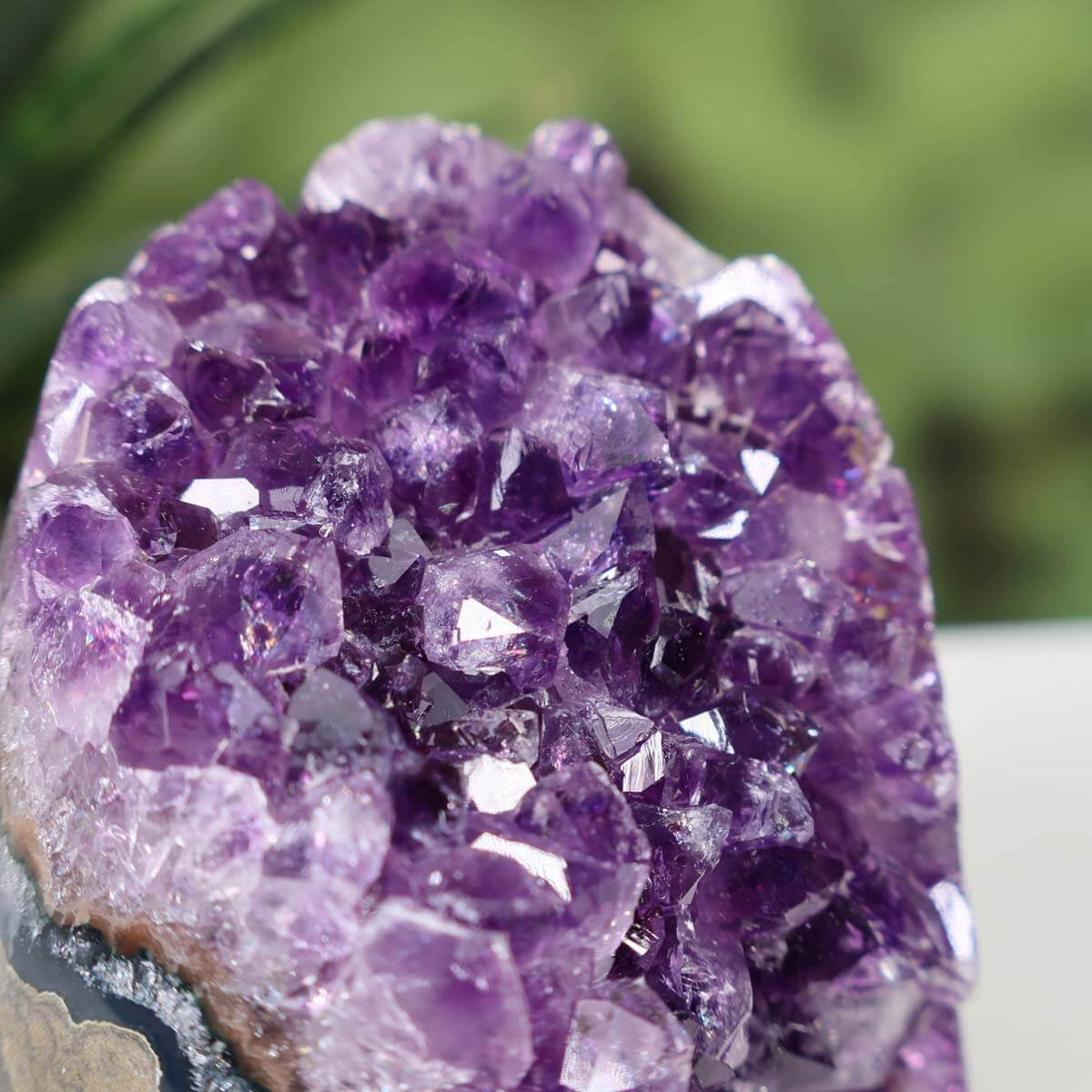 Close-up of a Uruguay Amethyst Mini Geode showcasing intense violet crystals, Unique Piece NR 23