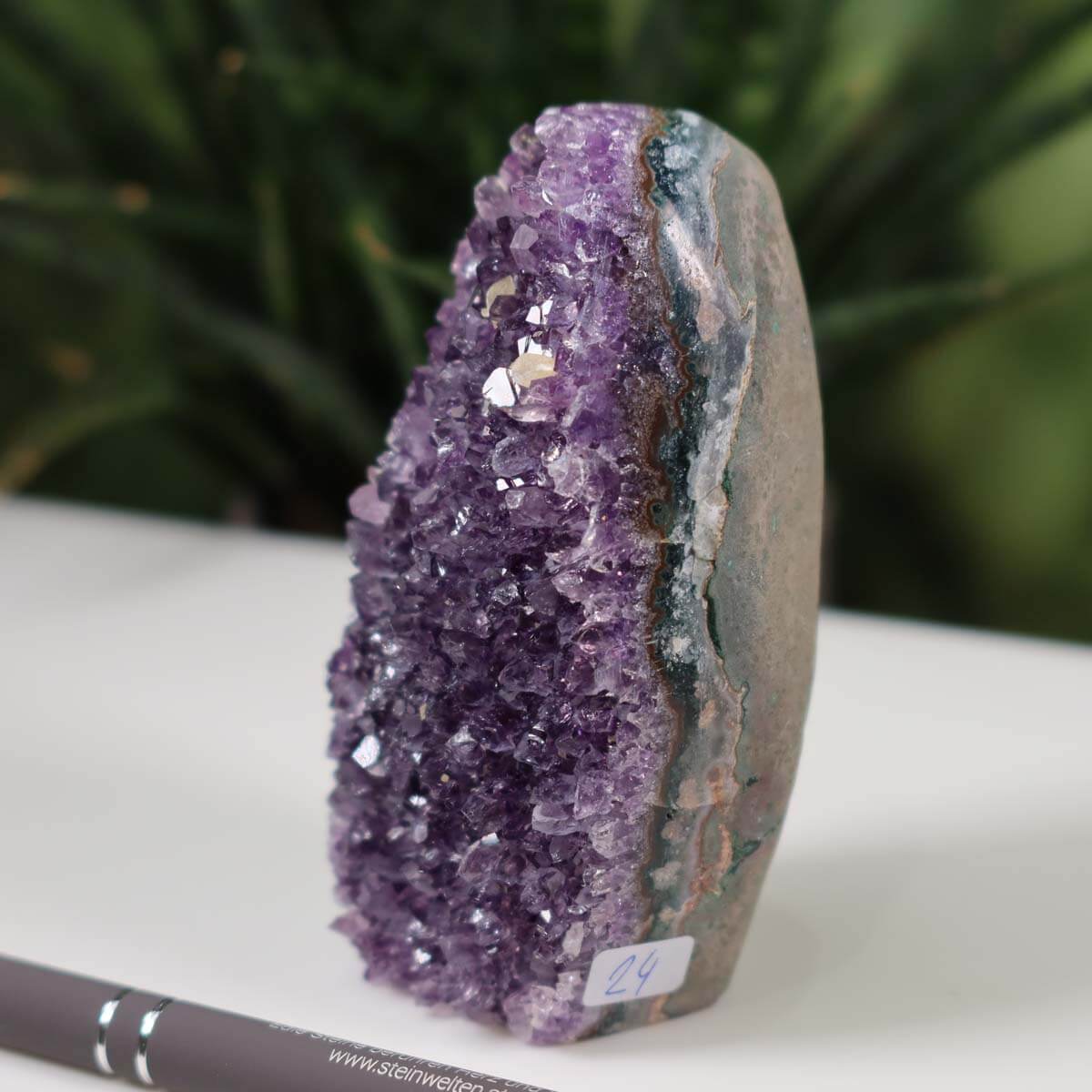 Uruguay Amethyst Mini Geode with intense purple crystals displayed next to a pen for scale, set against a blurred plant background.