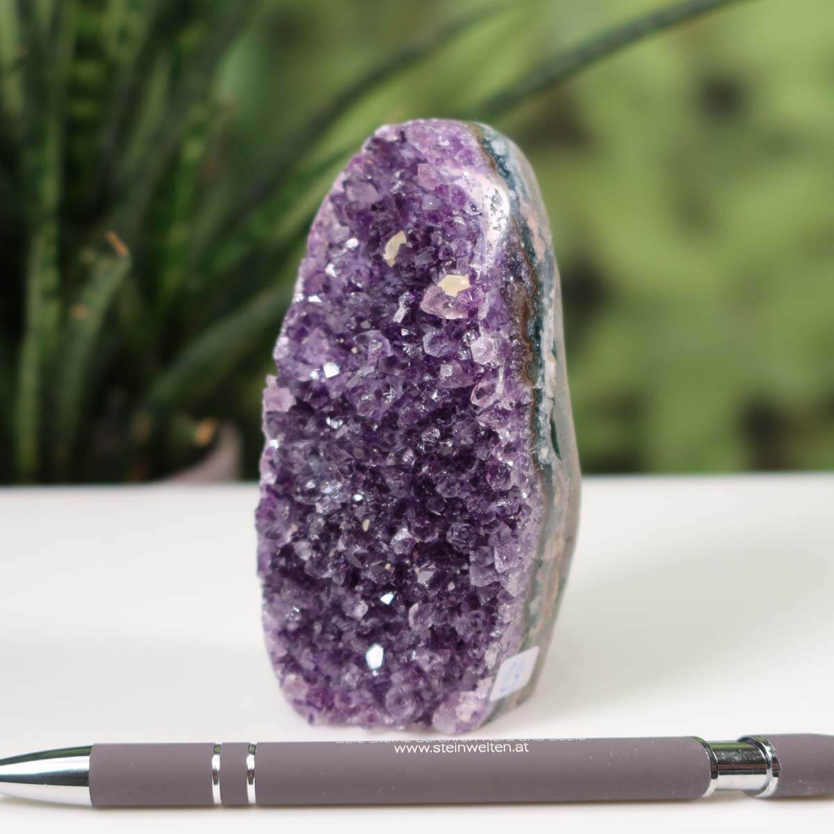 Uruguay Amethyst Mini Geode with intense purple crystals displayed next to a pen for scale, set against a blurred plant background.