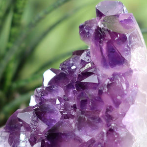 Close-up view of a deep purple Uruguay Amethyst mini geode showcasing intense violet crystals and natural sparkle.