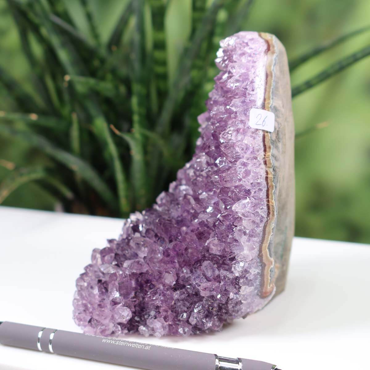 Intense violet Uruguay Amethyst Mini Geode number 26 displayed beside a pen on a white surface with plants in the background