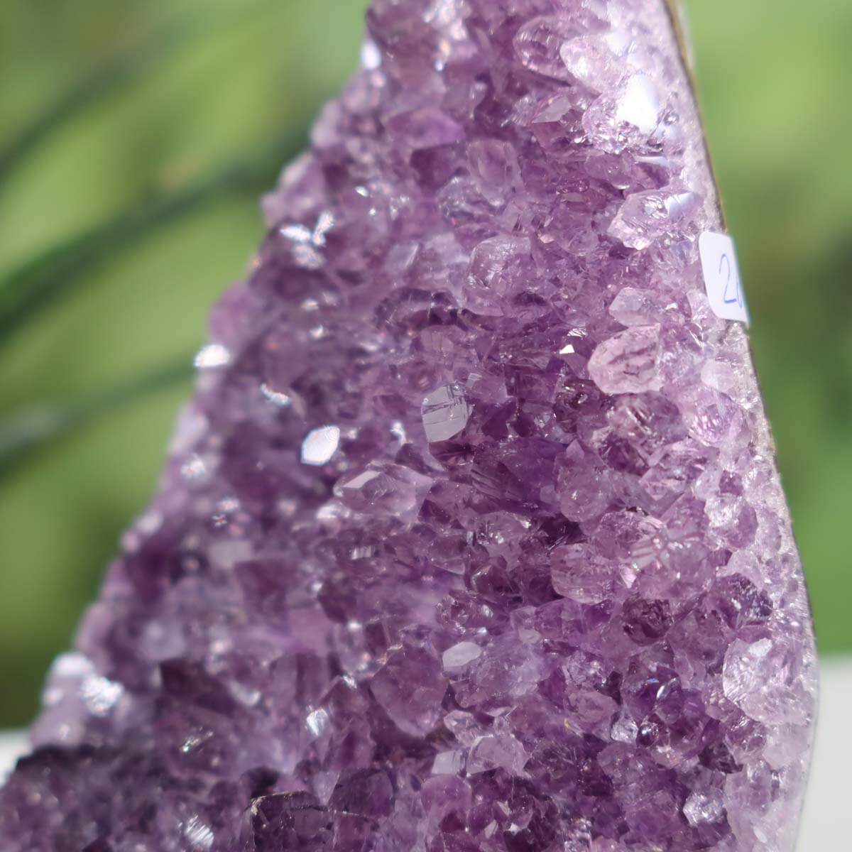 Close-up of a Uruguay Amethyst mini geode with intense purple crystals, labeled number 26